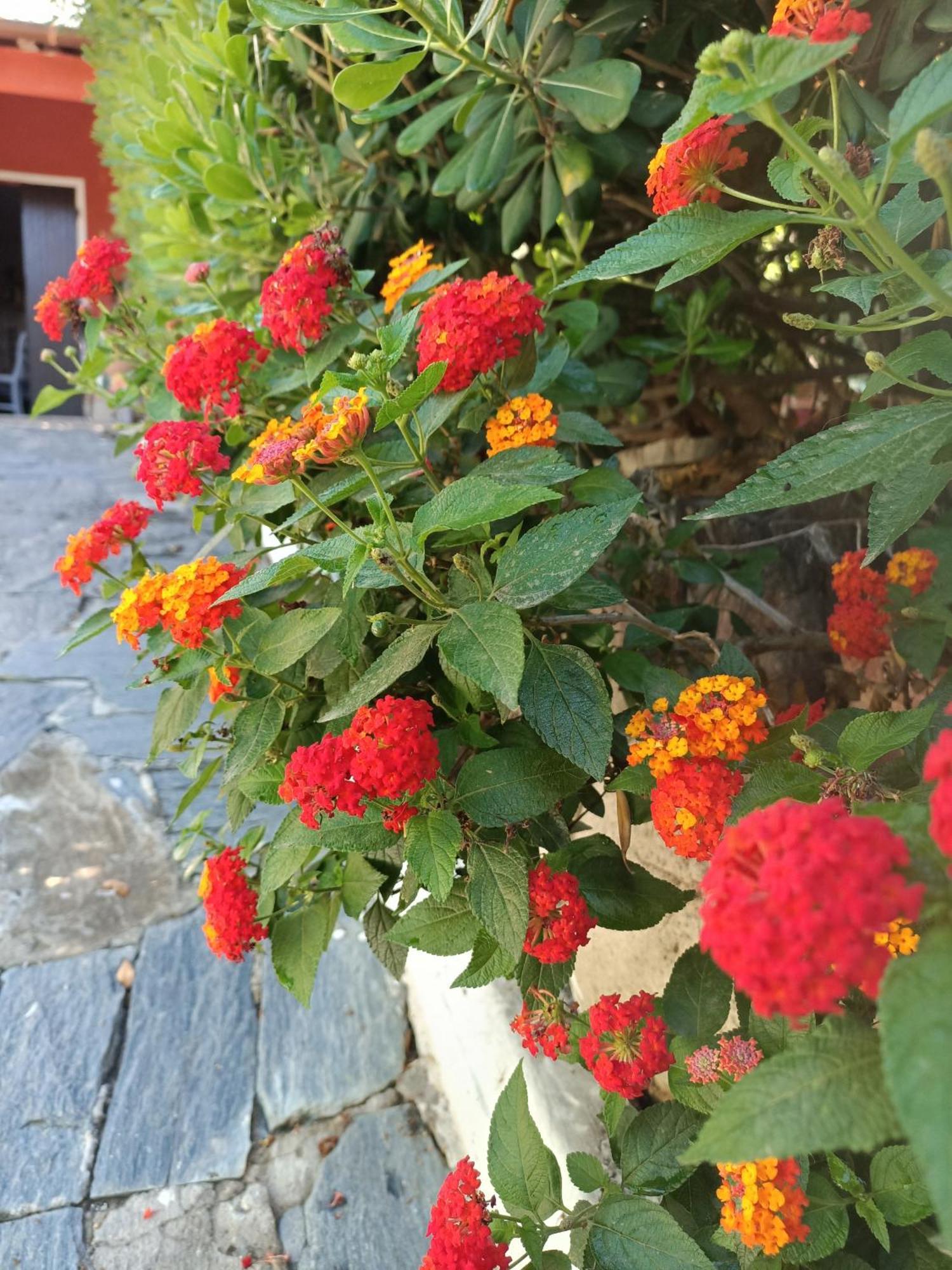 Summer Loft Sant'Andrea  Exterior foto